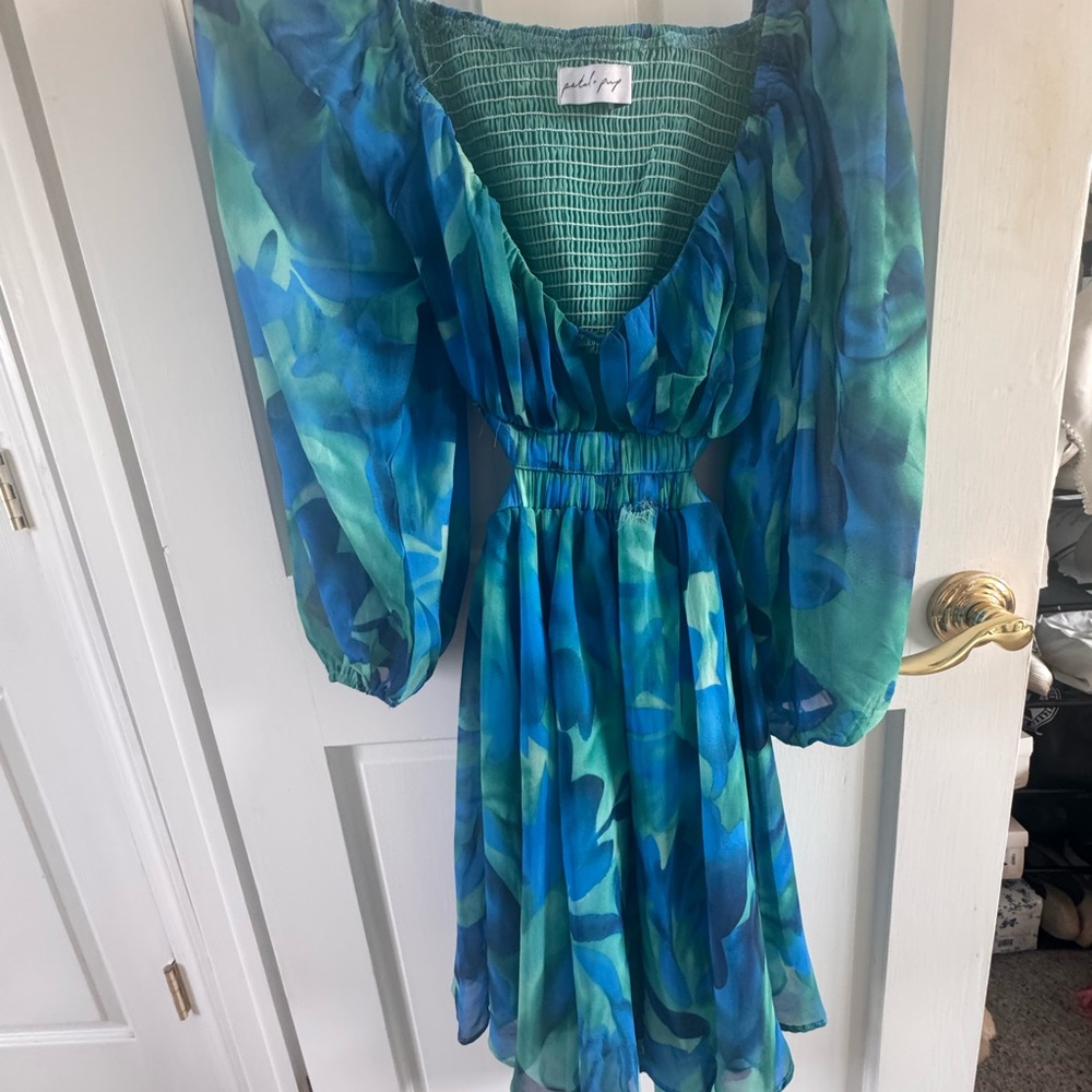 Petal & Pup Blue and Green Floral Mini Dress